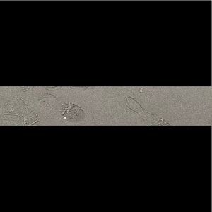 Meet your Posher, Dong